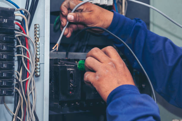 Best Electric Panel Repair  in Moroni, UT